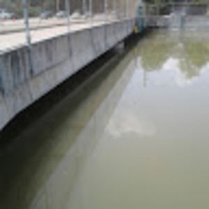 Meet your Posher, Leonel